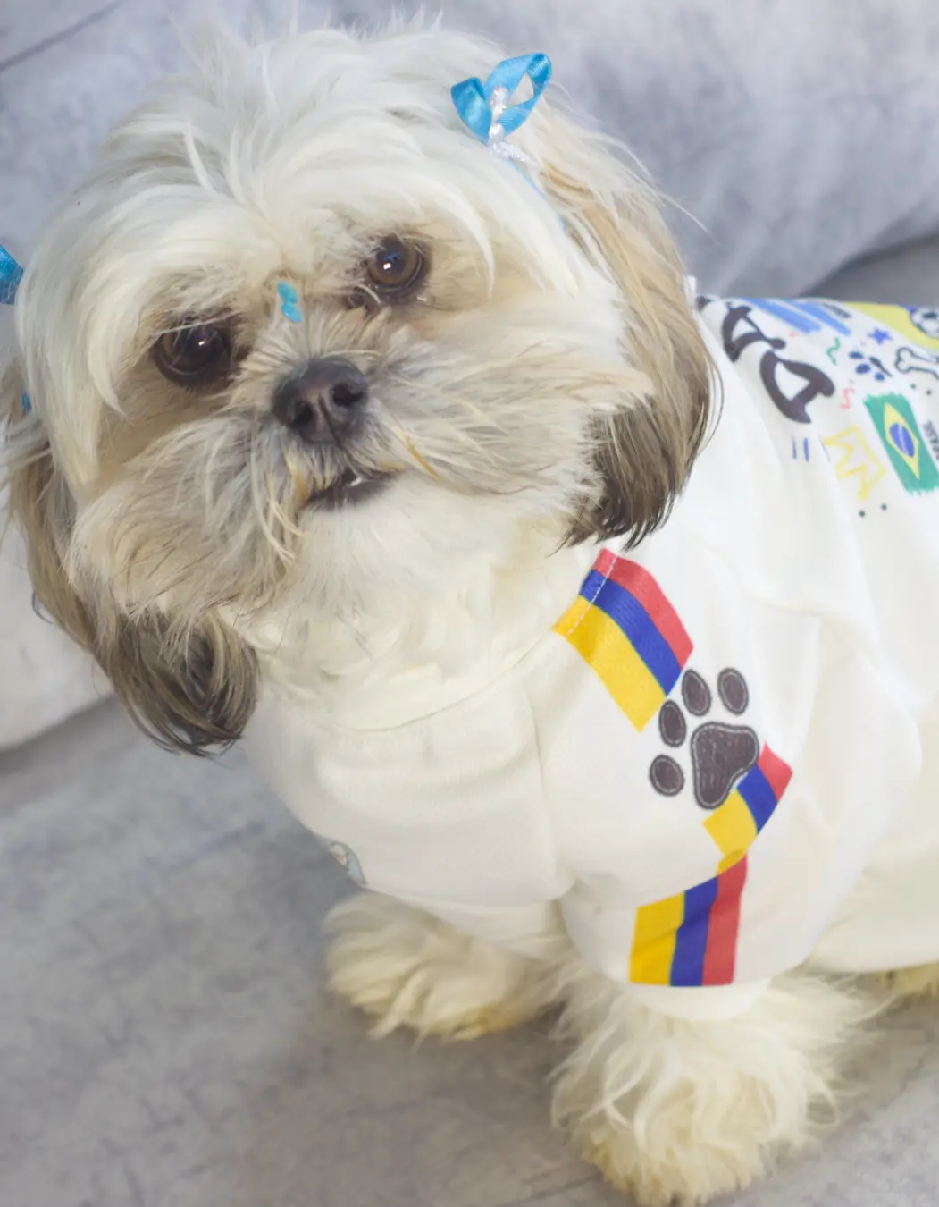 Camiseta oficial del Dai Dai