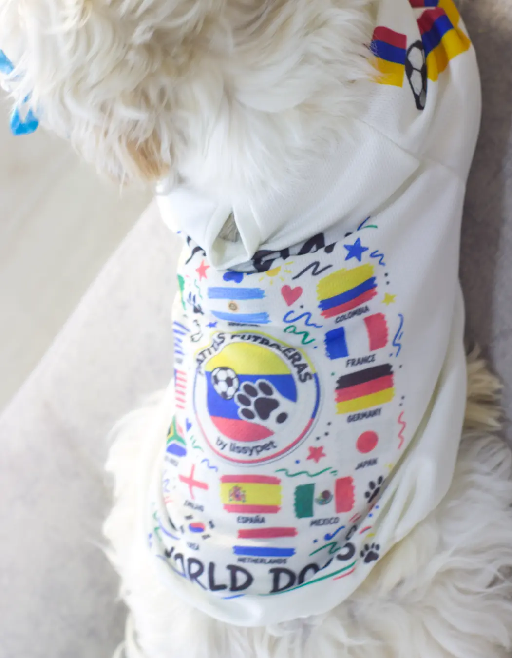 Camiseta oficial del Dai Dai
