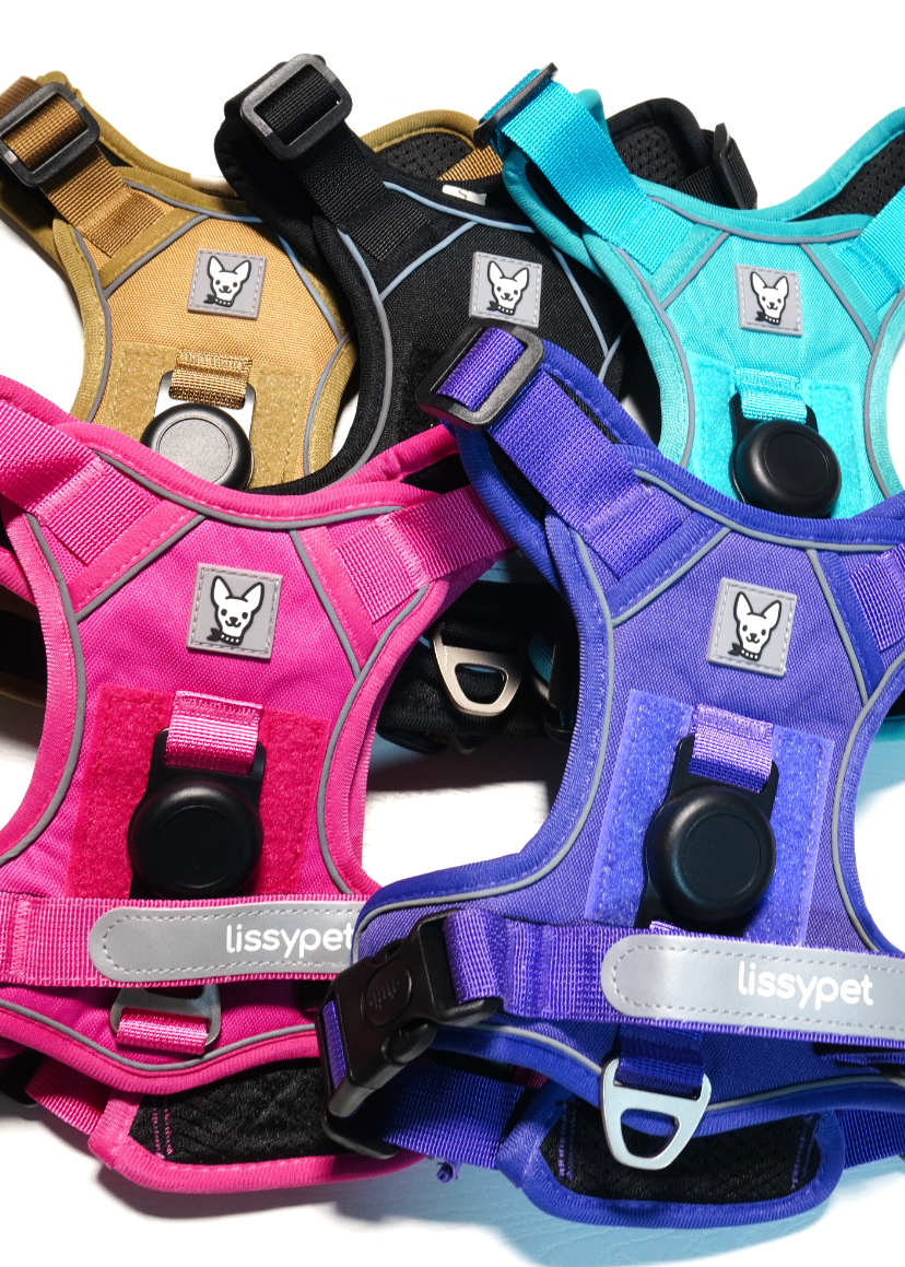 Arnes Lissypet Pro - Imagen 1
