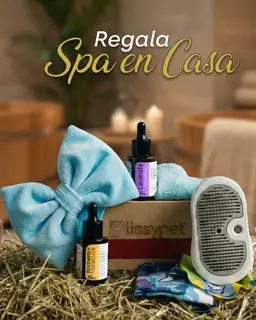 Spa en Casa - Imagen 1