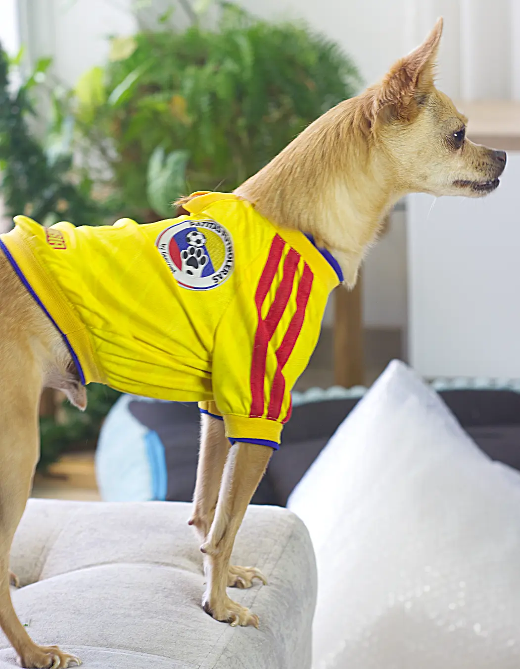 Camiseta de la seleccion Amarilla - Imagen 3