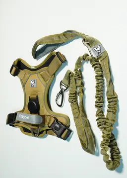 Arnes Lissypet Pro - Imagen 4