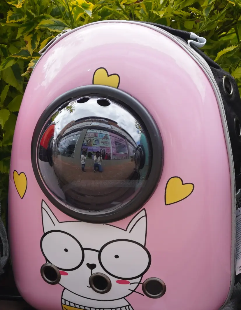 Morral Burbuja - Imagen 8