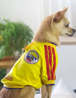 Camiseta de la seleccion Amarilla - Imagen 1