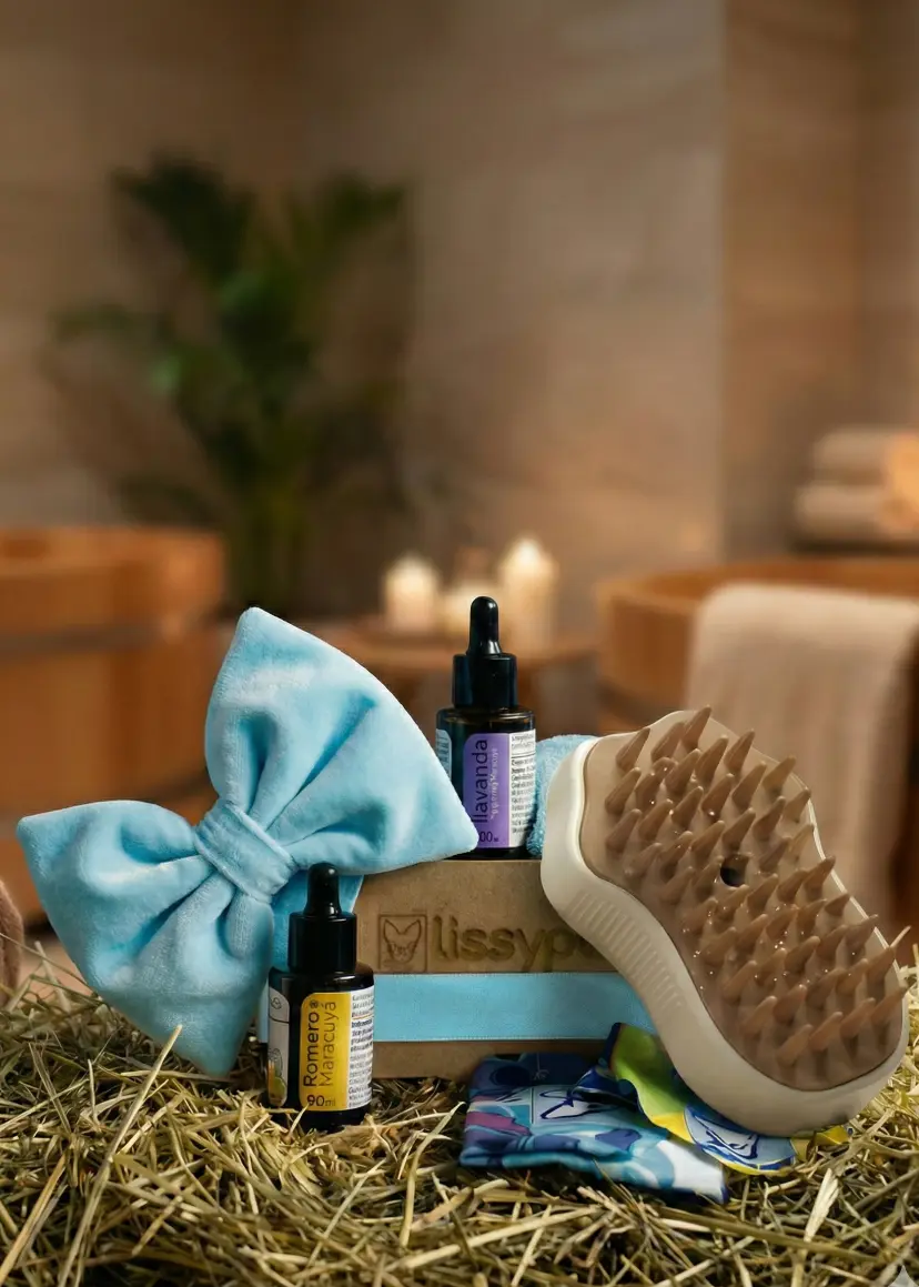 Spa en Casa - Imagen 5