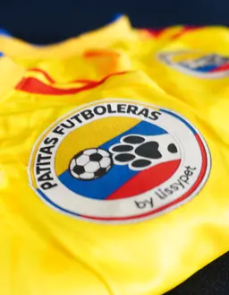 Camiseta de la seleccion Amarilla - Imagen 4
