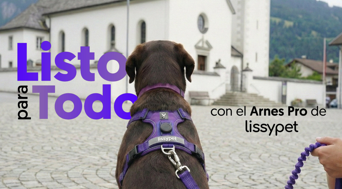 Arnes Pro Lissypet